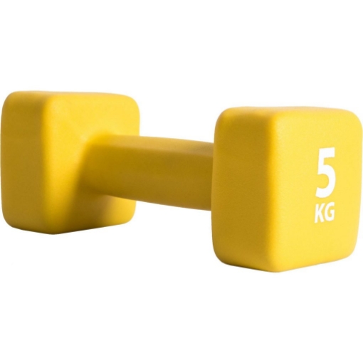 Εικόνα της ΛΑΒΥΡΙΝΘΟΣ DUMBELL ΝΕΟΠΡΕΝ 5KG